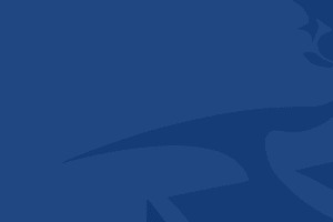 爱游戏官方入口-平度分赛场观赛指南、互动活动重磅来袭~